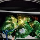 율리농장 이미지