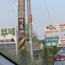 뼈대강주