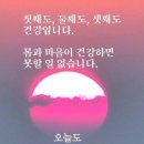 사람의 심장을 염통(소금통)이라고 합니다. 이미지