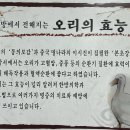 남강오리탕 이미지