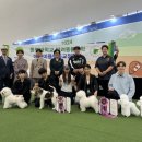 국제애견 이미지