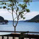 휴먼아리아 이미지