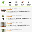 단골플라워가든