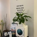 몰디브 | 수원화이트태닝전문점으로 10회 후기 몰디브태닝