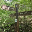 100대 명산 경기 가평 명지산(明智山, 1,267m) 산행 #3 이미지