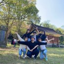 코in제주 이미지