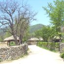 강당골마을 이미지