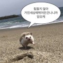 해랑사 이미지