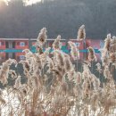 용대리낚시터 이미지