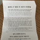 용강동물병원 | 헬릭스 동물 메디컬센터 서초 비강 내시경 후기[병원 리스트, 영수증 첨부]