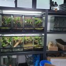 비바리움매니아 이미지