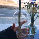 이끌림cafe