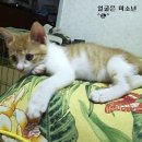 괴정2동-6 이미지