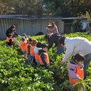 남양주시농업기술센터 이미지