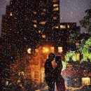 정(情) - 사랑과 이미지