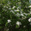 문배농장 이미지