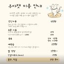 고양이미용호텔 우아캣 이미지