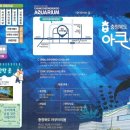 충북고추 네이버블로그