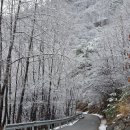 돌풍목장 | 산너미목장 2박3일 캠핑 후기