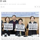 위안부 피해자 항소심 승소 / 일본을 대신하여 자국민과 싸우려는 우리 정부 이미지