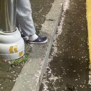 내혜홀농장 | 4월 요약 돈은 쓰라고 버는거 아니야?