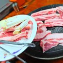 태백산오는길 이미지