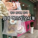 손바느질로 만드는 강아지 옷 | [충북/청주] 청주 반려견 간식 추천 🐾 맘마 먹으러 오시개
