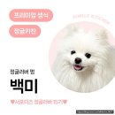 멍멍키친 | #제품협찬 [강아지 생식] 오리고기 생식, 정글키친 본+덕포켓 후기