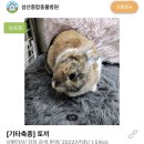 삼산종합동물병원 이미지