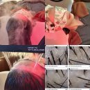 농업기술원 맞은편 | 진주 헤드스파 두피케어 탈모관리 전문점 ‘나니모 헤드스파 가발’ 맞춤형 스케일링 두피 마사지 후기