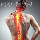 생명나무한의원 이미지