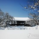 관동팔경 녹색경관길 이미지