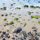 도구해수욕장 공중화장실 이미지