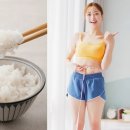 “살 찌니 쌀밥 안 먹는다고?”...찬밥 신세, 탄수화물은 억울하다! 이미지