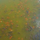 아름다운 안경원 이미지