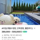 스테이 대치 | 강화도 애견동반 펜션 일리스테이, 아기랑 강아지랑 감성숙소