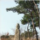 운주사 Daum카페