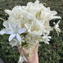 서래로2길 39 | Week 49-52 | 12월 조각모음