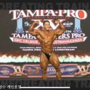 한국보디빌더마스터 이미지