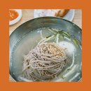 농촌메밀막국수 | 용인 처인구 맛집 :: 원삼메밀집 아이동반 어린이막국수 후기