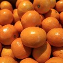 영현농장 이미지