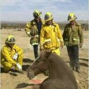 곰 펜션 이미지