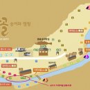 용골송어와 캠핑 이미지