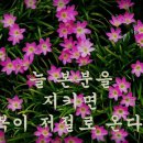 [[솔24]] 2016년 03월 모임 안내 이미지