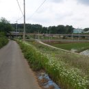 봉소2리 이미지