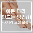 피트너피티스튜디오 이미지