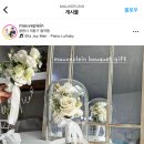 무브플랑 이미지