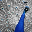 신번한우곰탕 이미지