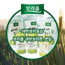 건강한 새싹 이미지