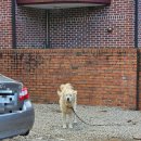 강변석정 | 가평 남이섬 워크샵 MT 아침식사 맛집 강변석정 후기